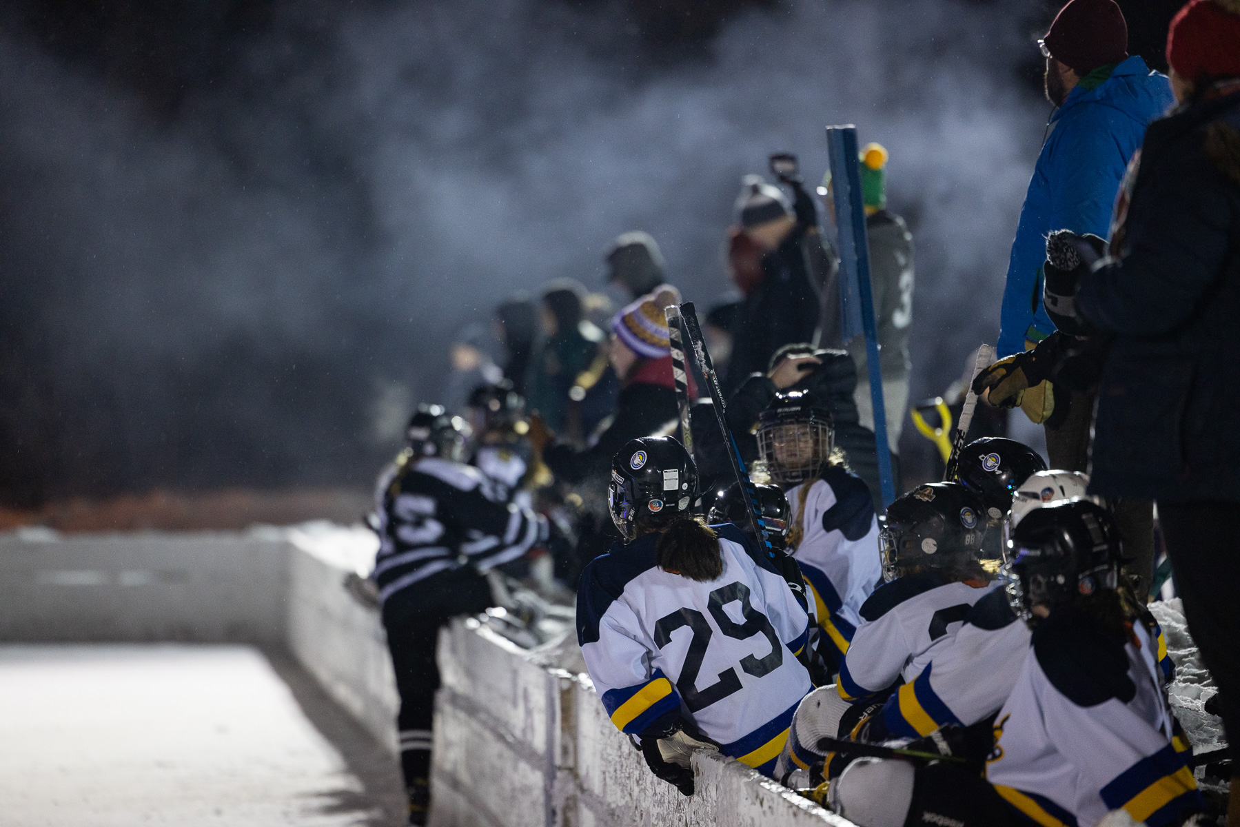 Efforts underway to expand the face of youth hockey in Minnesota.